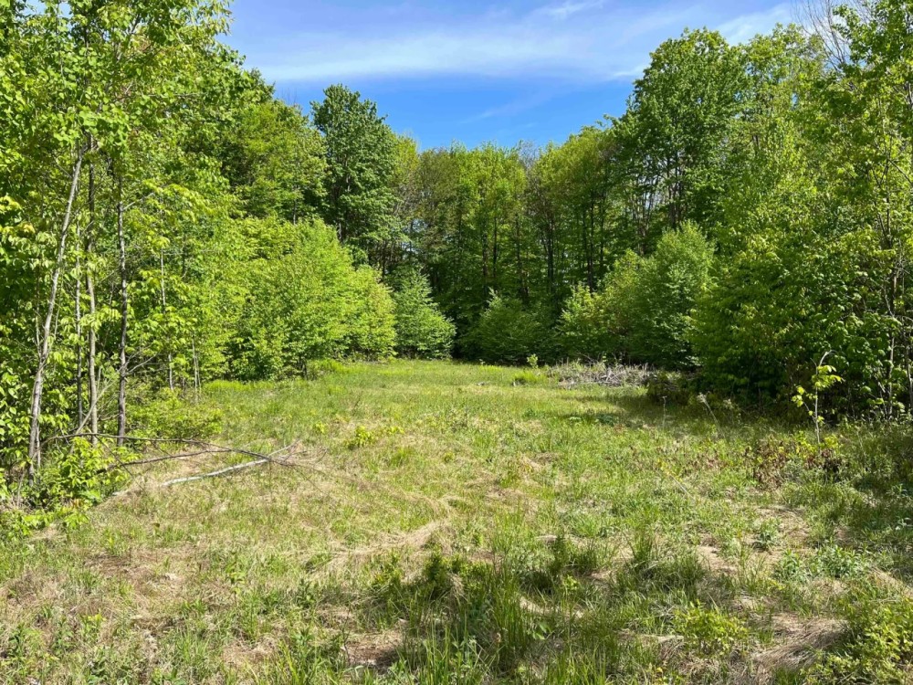 120 acres Hunting Land and Recreational Land near South Valley State Forest in Frewsburg NY Bone Run Road featured image