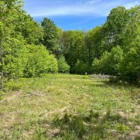 120 acres Hunting Land and Recreational Land near South Valley State Forest in Frewsburg NY Bone Run Road