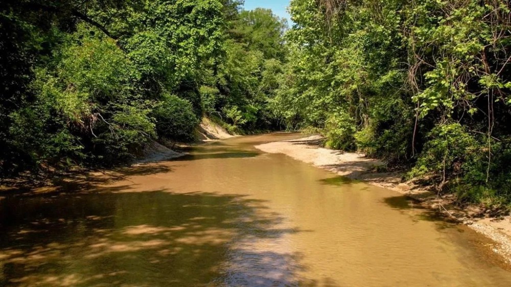 157 Acres for Sale Hunting Land in Franklin County MS featured image