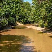 157 Acres for Sale Hunting Land in Franklin County MS