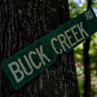 157 Acres for Sale Hunting Land in Franklin County MS images 3
