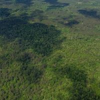 157 Acres for Sale Hunting Land in Franklin County MS images 4