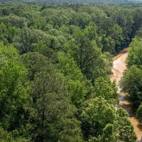 157 Acres for Sale Hunting Land in Franklin County MS images 5