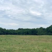 206.13 Acre Oklahoma Cattle Ranch Coalgate OK images 2