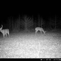 Recreational Property in Clinton CO. images 3