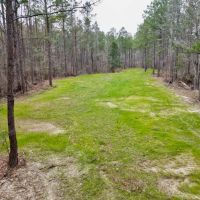 Hunting Land for Sale in Natchez MS images 2