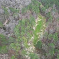Hunting Land for Sale in Natchez MS images 3