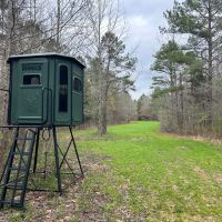 172.18 Acres in Carroll and Holmes County MS
