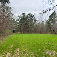 172.18 Acres in Carroll and Holmes County MS images 4