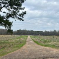172.18 Acres in Carroll and Holmes County MS images 5