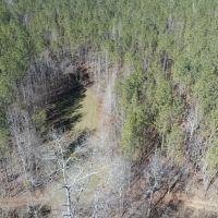 250 - acres in Coweta County images 2
