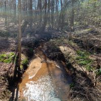 250 - acres in Coweta County images 4