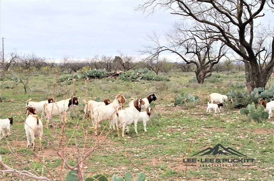 TW2 Ranch featured image