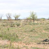 TW2 Ranch images 4