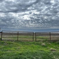 New Listing 10.5 Acres Tract 2 Callahan County