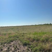 New Listing 10.5 Acres Tract 2 Callahan County images 4
