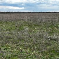 New Listing 10.5 Acres Tract 2 Callahan County images 5