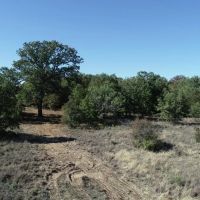 Quality oaks and homesites 50 miles from Downtown Ft. Worth