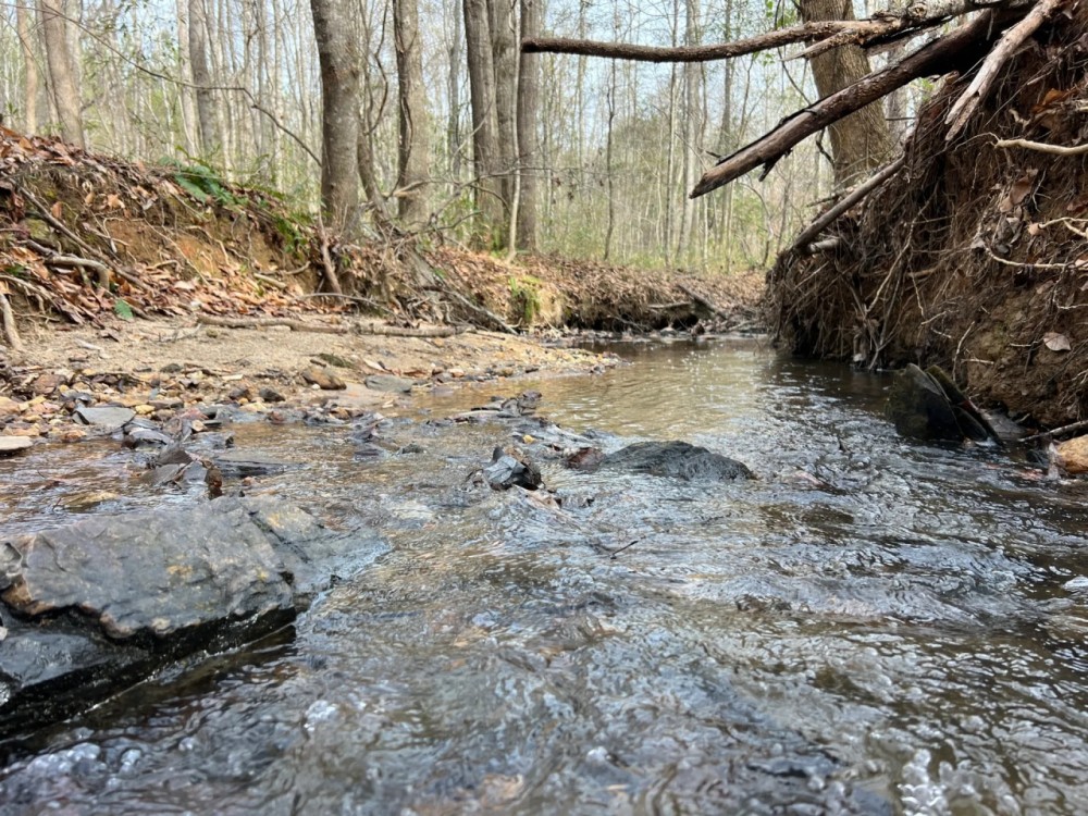 47.25 - Ac. Goodwater Coosa Co featured image