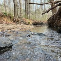 47.25 - Ac. Goodwater Coosa Co