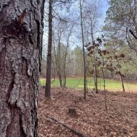 47.25 - Ac. Goodwater Coosa Co images 2