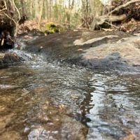 47.25 - Ac. Goodwater Coosa Co images 4