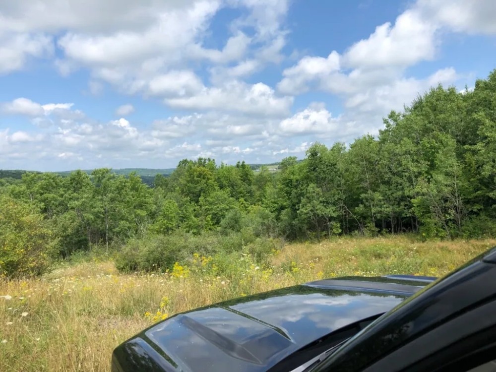 58 acres Recreational Land and Building Lot in Whitney Point NY 3494 NYS Route 206 featured image