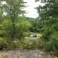 58 acres Recreational Land and Building Lot in Whitney Point NY 3494 NYS Route 206 images 3