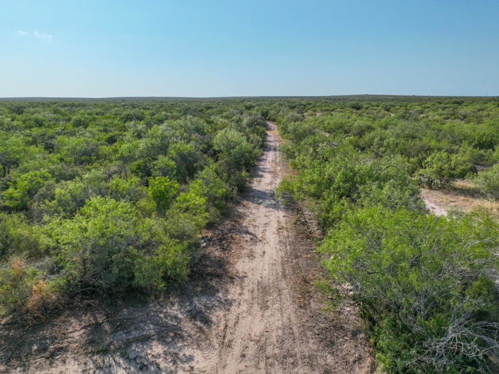 Hoffman Creek Ranch featured image