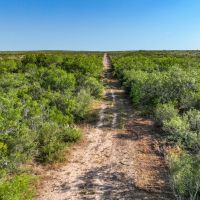 Hoffman Creek Ranch images 3