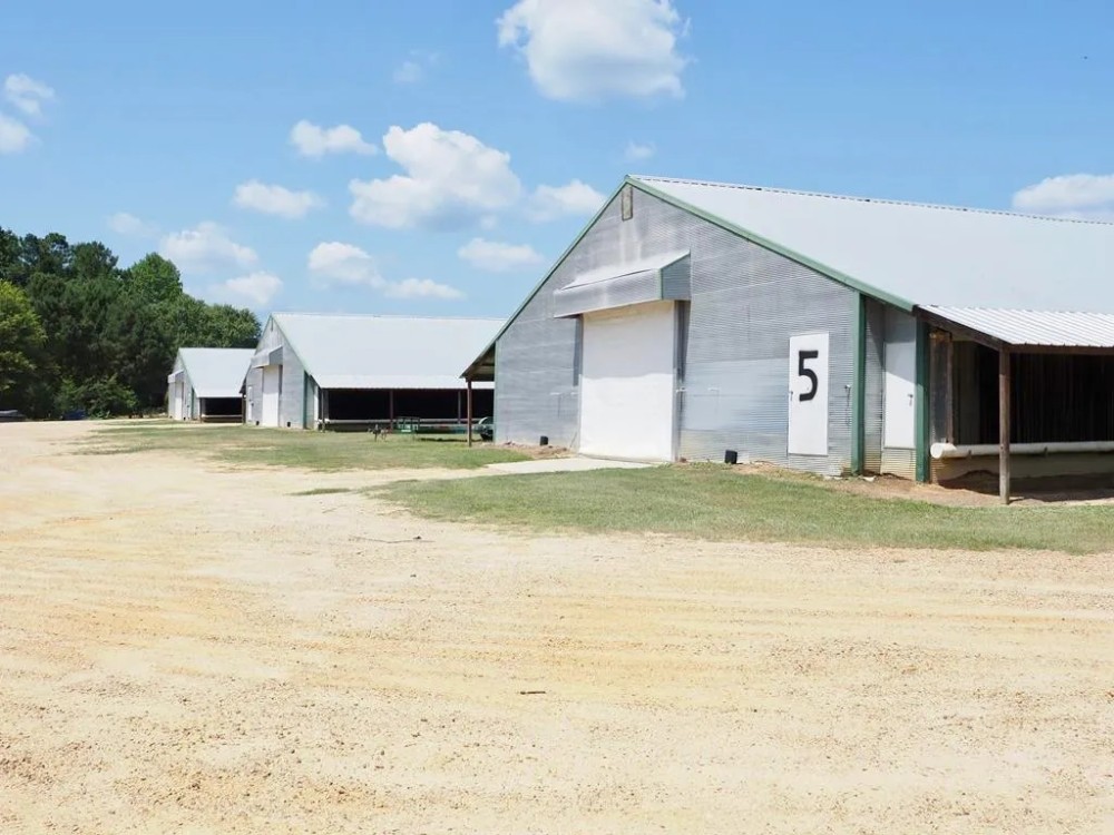 Nice Turnkey 6 house Poultry farm 25 Acres SE Mississippi featured image