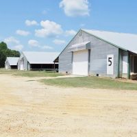 Nice Turnkey 6 house Poultry farm 25 Acres SE Mississippi
