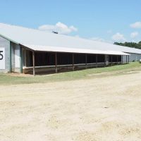Nice Turnkey 6 house Poultry farm 25 Acres SE Mississippi images 3