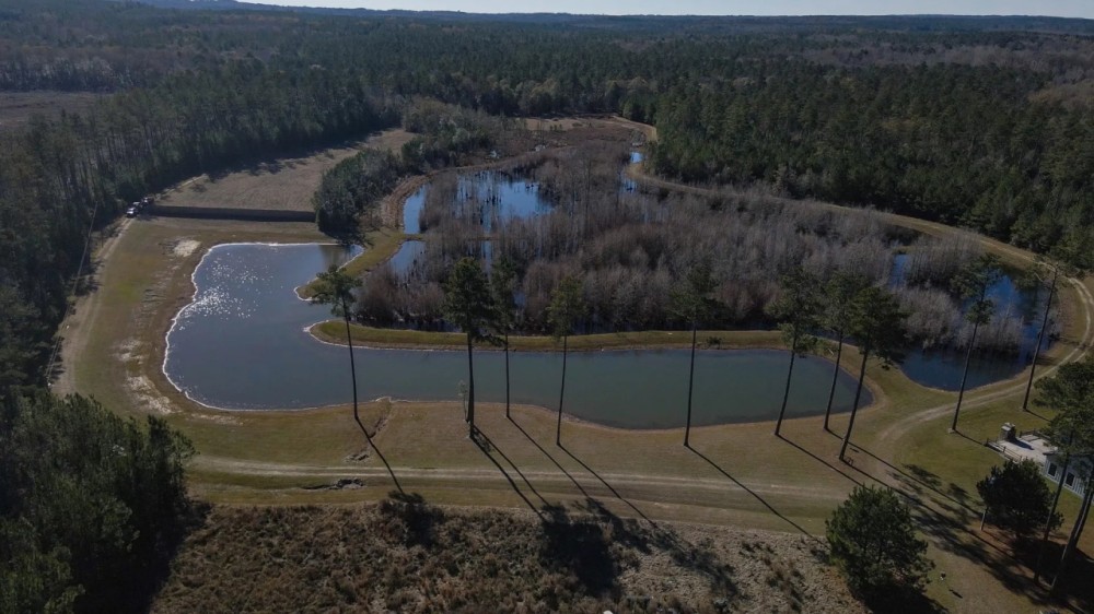 770 - ACRES WITH LODGE featured image