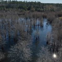 770 - ACRES WITH LODGE images 4