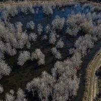 770 - ACRES WITH LODGE images 5