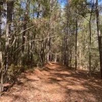 Turnkey 26.5 Acres for Sale in Clinton LA