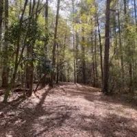 Turnkey 26.5 Acres for Sale in Clinton LA images 3