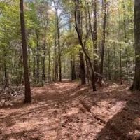 Turnkey 26.5 Acres for Sale in Clinton LA images 4