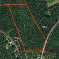 Turnkey 26.5 Acres for Sale in Clinton LA images 5