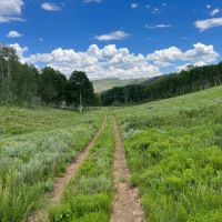 Cabin Hollow Ranch