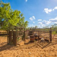 Hollow Draw Ranch images 5