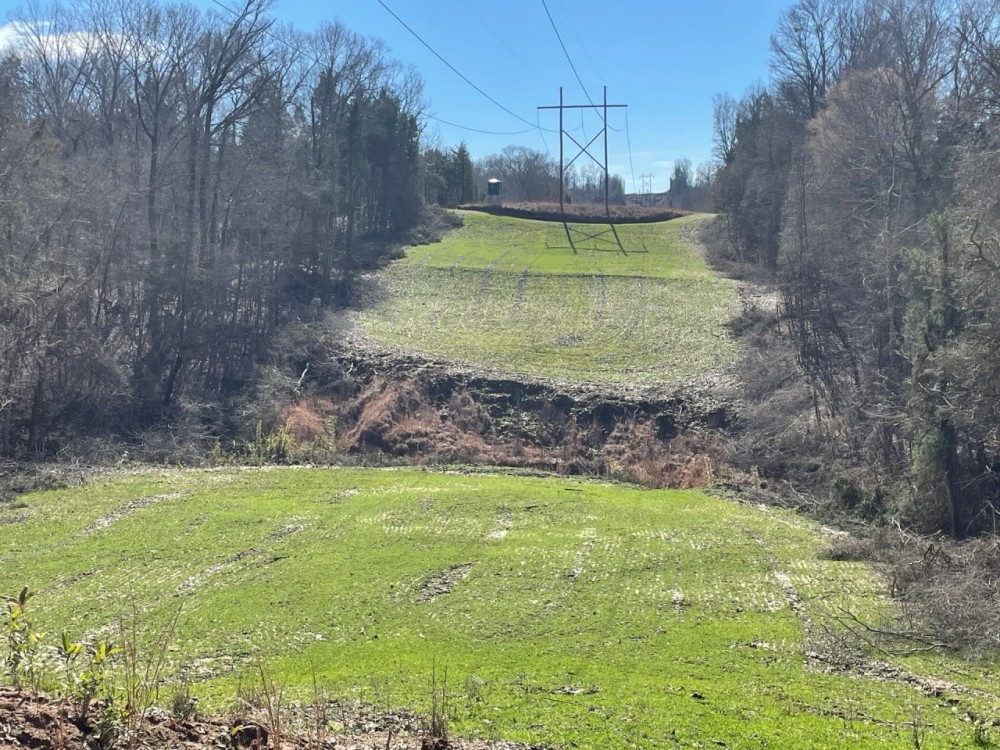 333 acres - Yazoo County MS featured image