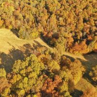 Martha s Ridge Tract 3 - 130 Acres Land for Sale Arkansas images 2