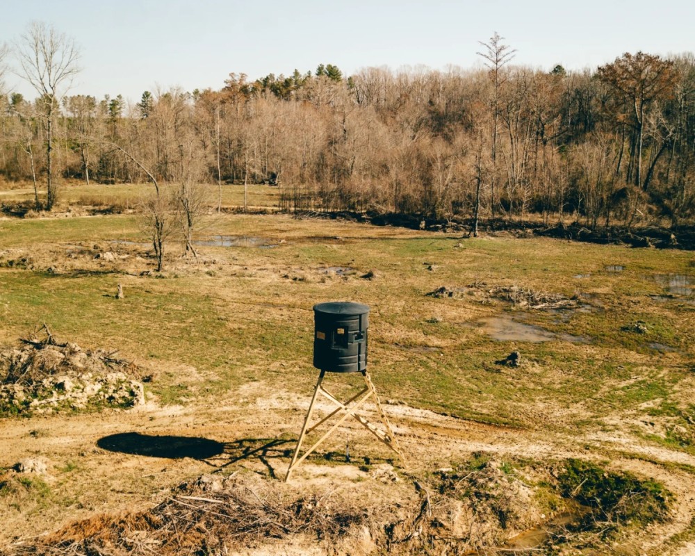 836 Acres with a Cabin in Webster County MS featured image