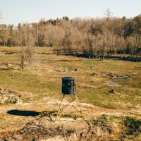 836 Acres with a Cabin in Webster County MS