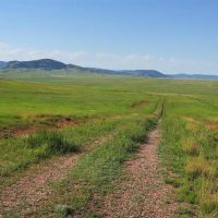 Red Hills Pasture