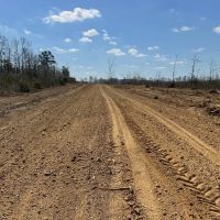 60 Acres Near Osyka MS Pike County for Hunting Home images 2
