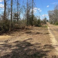 60 Acres Near Osyka MS Pike County for Hunting Home images 4