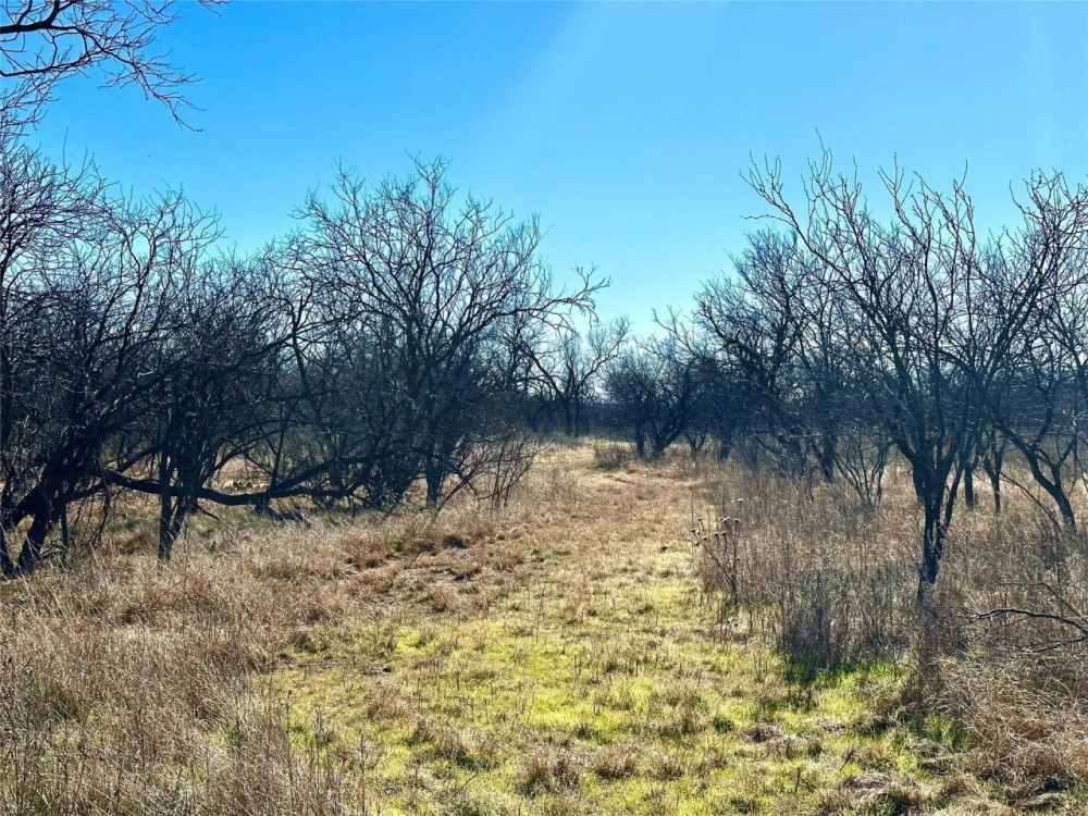 New Listing 20 - Acres Brown County featured image